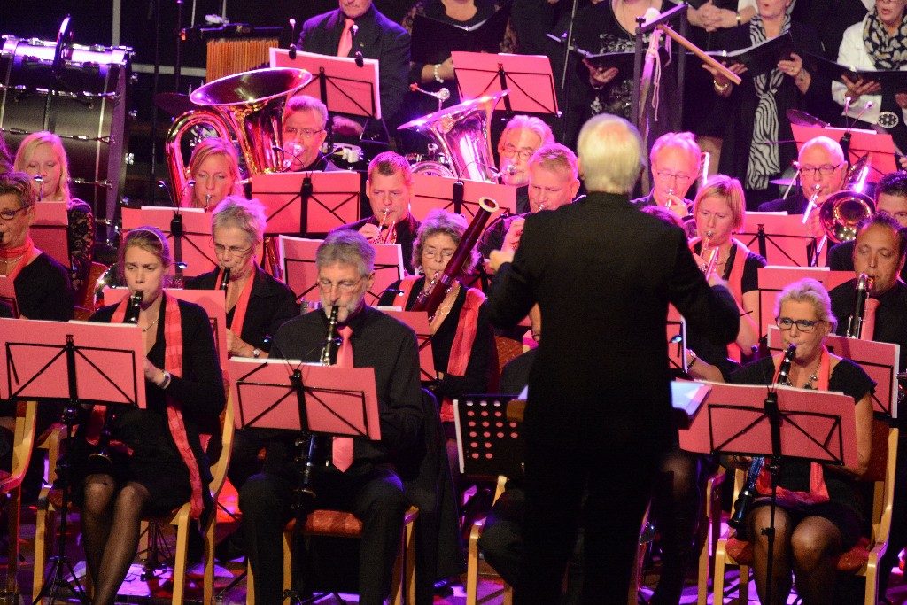 ../Images/Jubileumconcert 100 jaar Harpe Davids 113.jpg